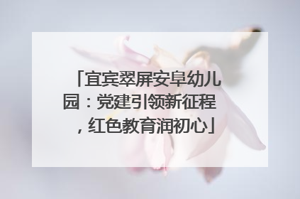 宜宾翠屏安阜幼儿园：党建引领新征程，红色教育润初心