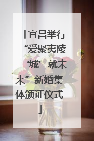 宜昌举行“爱聚夷陵‘城’就未来”新婚集体颁证仪式