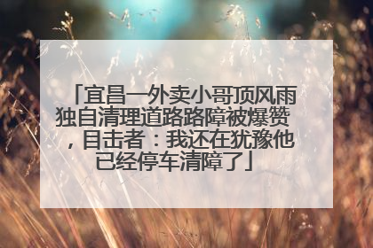 宜昌一外卖小哥顶风雨独自清理道路路障被爆赞，目击者：我还在犹豫他已经停车清障了