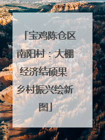 宝鸡陈仓区南阳村：大棚经济结硕果 乡村振兴绘新图
