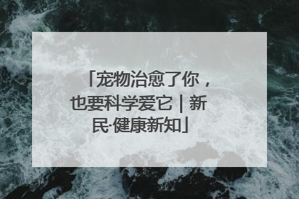 宠物治愈了你，也要科学爱它｜新民·健康新知