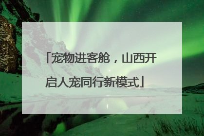 宠物进客舱，山西开启人宠同行新模式