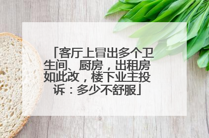 客厅上冒出多个卫生间、厨房，出租房如此改，楼下业主投诉：多少不舒服