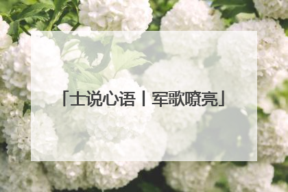士说心语丨军歌嘹亮