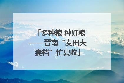 多种粮 种好粮——晋南“麦田夫妻档”忙夏收