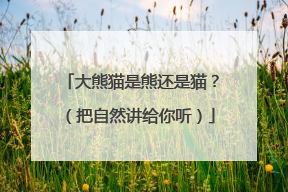 大熊猫是熊还是猫？（把自然讲给你听）
