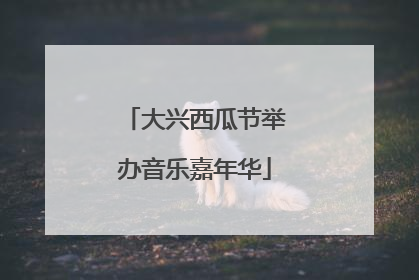 大兴西瓜节举办音乐嘉年华