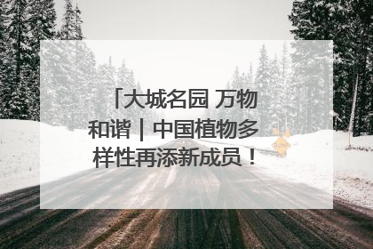 大城名园 万物和谐｜中国植物多样性再添新成员！它只在西藏墨脱