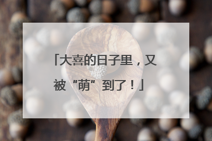 大喜的日子里，又被“萌”到了！