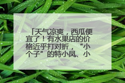 天气凉爽，西瓜便宜了！有水果店的价格近乎打对折，“小个子”的特小凤、小糖丸更好卖