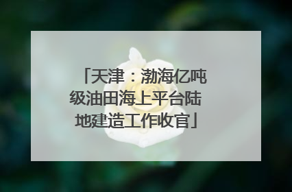 天津：渤海亿吨级油田海上平台陆地建造工作收官