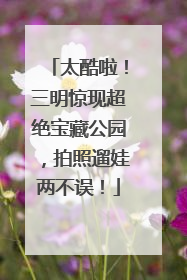 太酷啦！三明惊现超绝宝藏公园，拍照遛娃两不误！