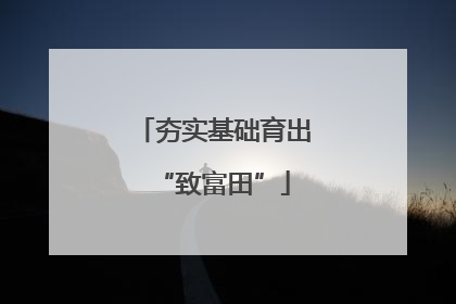 夯实基础育出“致富田”