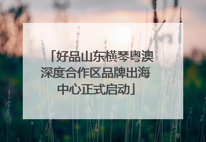 好品山东横琴粤澳深度合作区品牌出海中心正式启动