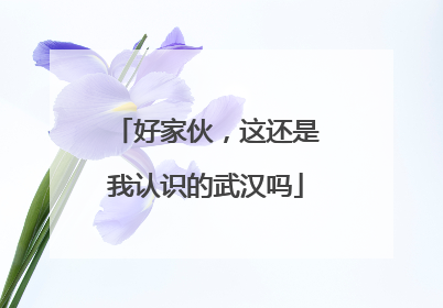 好家伙，这还是我认识的武汉吗
