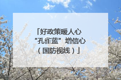 好政策暖人心 “孔雀蓝”增信心（国防视线）
