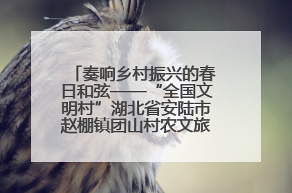 奏响乡村振兴的春日和弦——“全国文明村”湖北省安陆市赵棚镇团山村农文旅融合发展见闻