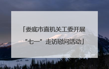 娄底市直机关工委开展“七一”走访慰问活动