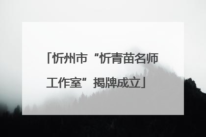 忻州市“忻青苗名师工作室”揭牌成立