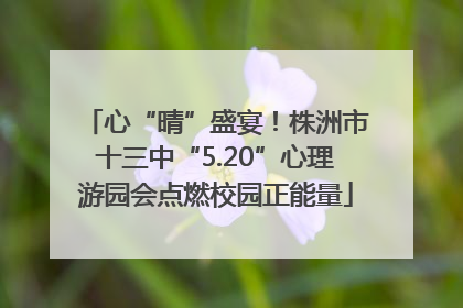 心“晴”盛宴！株洲市十三中“5.20”心理游园会点燃校园正能量