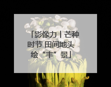 影像力丨芒种时节 田间地头绘“丰”景