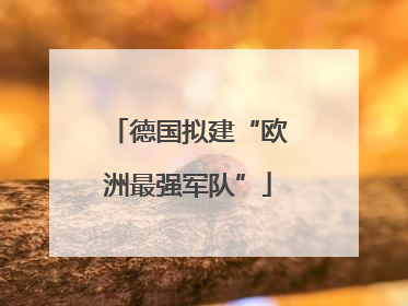 德国拟建“欧洲最强军队”