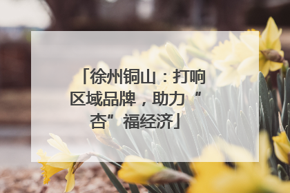 徐州铜山：打响区域品牌，助力“杏”福经济