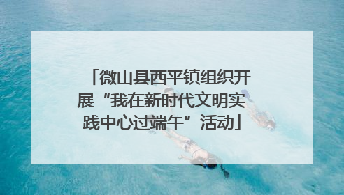 微山县西平镇组织开展“我在新时代文明实践中心过端午”活动