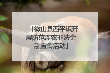 微山县西平镇开展防范涉农非法金融宣传活动