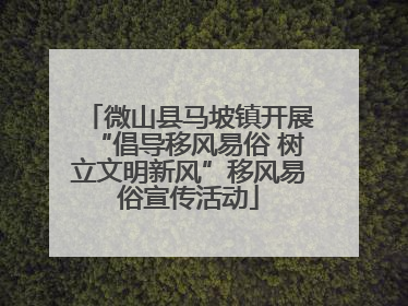 微山县马坡镇开展“倡导移风易俗 树立文明新风”移风易俗宣传活动