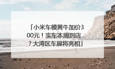 小米车模黄牛加价300元！实车本周到店？大湾区车展将亮相