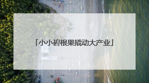 小小碧根果撬动大产业