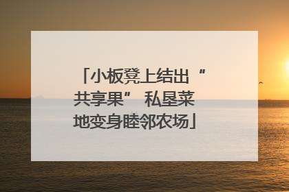 小板凳上结出“共享果” 私垦菜地变身睦邻农场