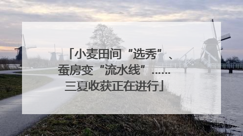 小麦田间“选秀”、蚕房变“流水线”……三夏收获正在进行