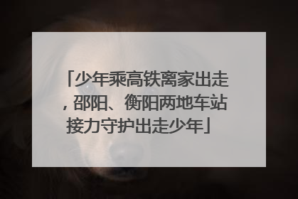 少年乘高铁离家出走，邵阳、衡阳两地车站接力守护出走少年