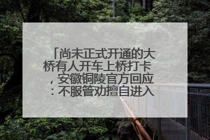 尚未正式开通的大桥有人开车上桥打卡，安徽铜陵官方回应：不服管劝擅自进入，已采取措施