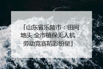 山东省乐陵市：田间地头 全市植保无人机劳动竞赛精彩纷呈