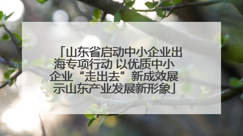 山东省启动中小企业出海专项行动 以优质中小企业“走出去”新成效展示山东产业发展新形象
