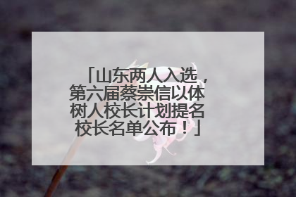 山东两人入选，第六届蔡崇信以体树人校长计划提名校长名单公布！