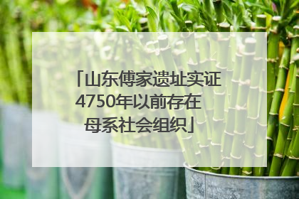山东傅家遗址实证4750年以前存在母系社会组织