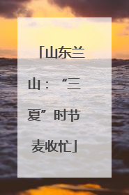 山东兰山：“三夏”时节麦收忙