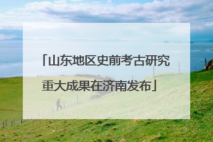 山东地区史前考古研究重大成果在济南发布