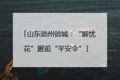 山东德州德城：“解忧花”邂逅“平安伞”