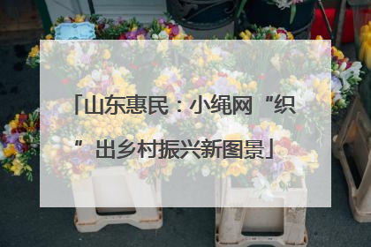 山东惠民：小绳网“织”出乡村振兴新图景