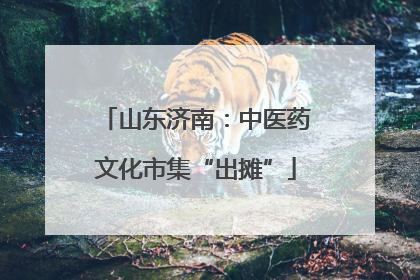 山东济南：中医药文化市集“出摊”