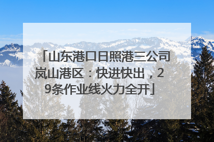 山东港口日照港三公司岚山港区：快进快出，29条作业线火力全开