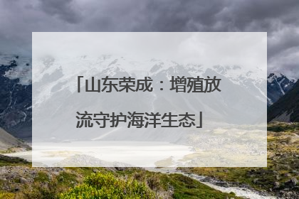 山东荣成：增殖放流守护海洋生态