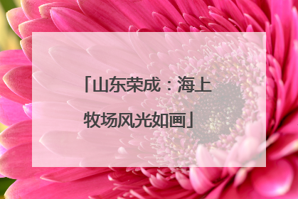 山东荣成：海上牧场风光如画