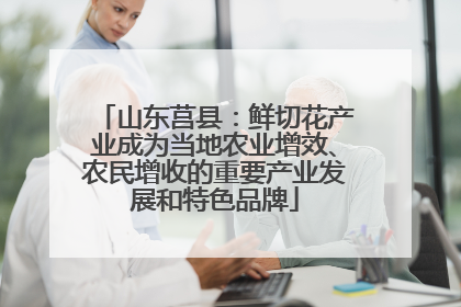 山东莒县：鲜切花产业成为当地农业增效、农民增收的重要产业发展和特色品牌