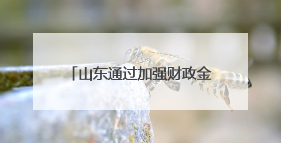 山东通过加强财政金融的协同联动 为民营经济发展加力赋能